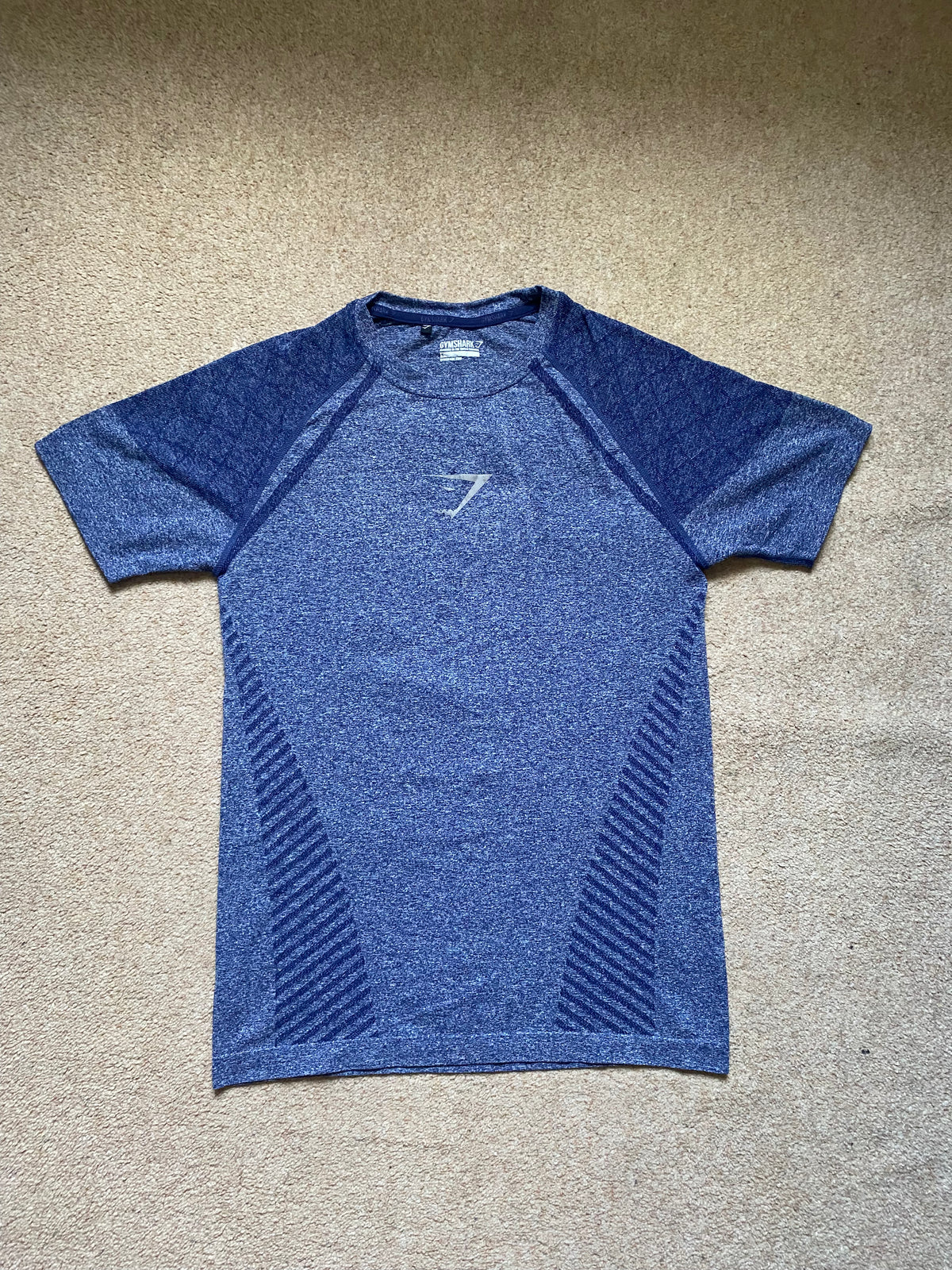 OG Gymshark Devant Seamless T-shirt