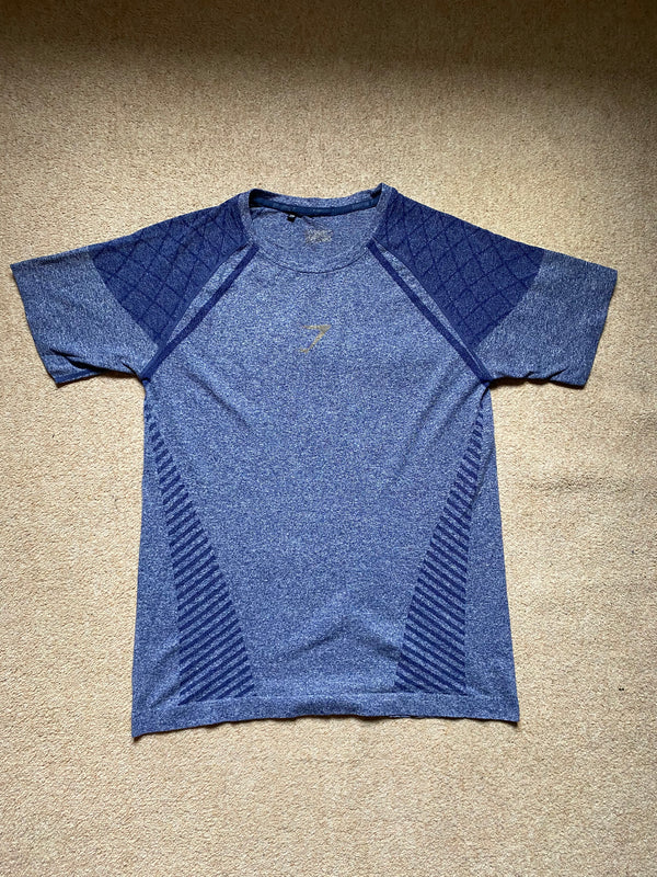 OG Gymshark Devant Seamless T-shirt