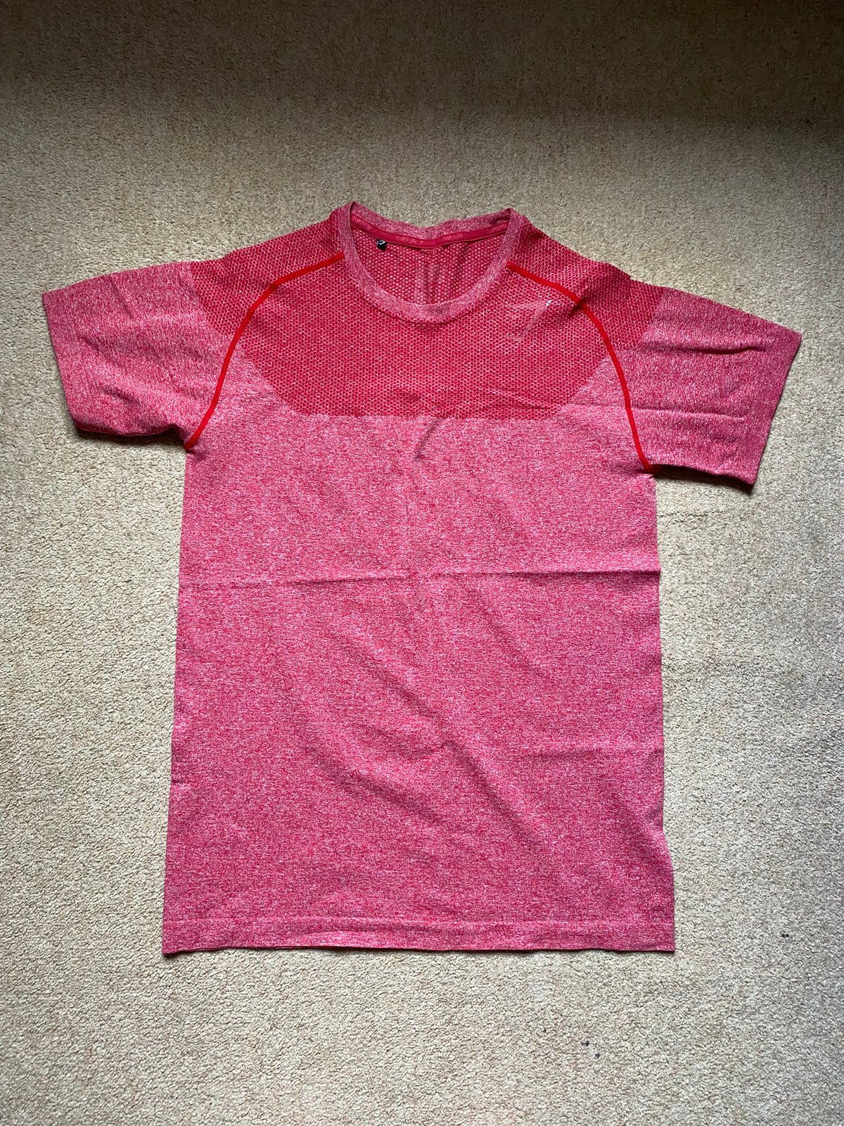 OG Gymshark Phantom Seamless T-shirt