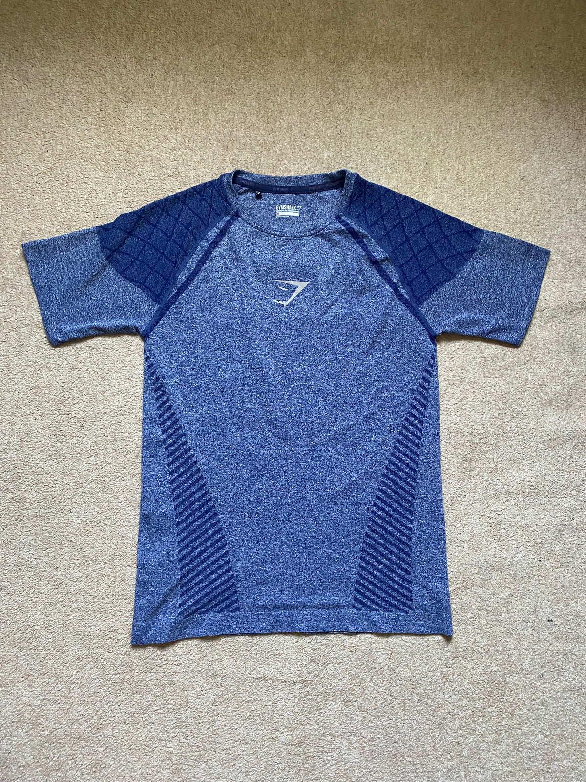OG Gymshark Devant Seamless T-shirt