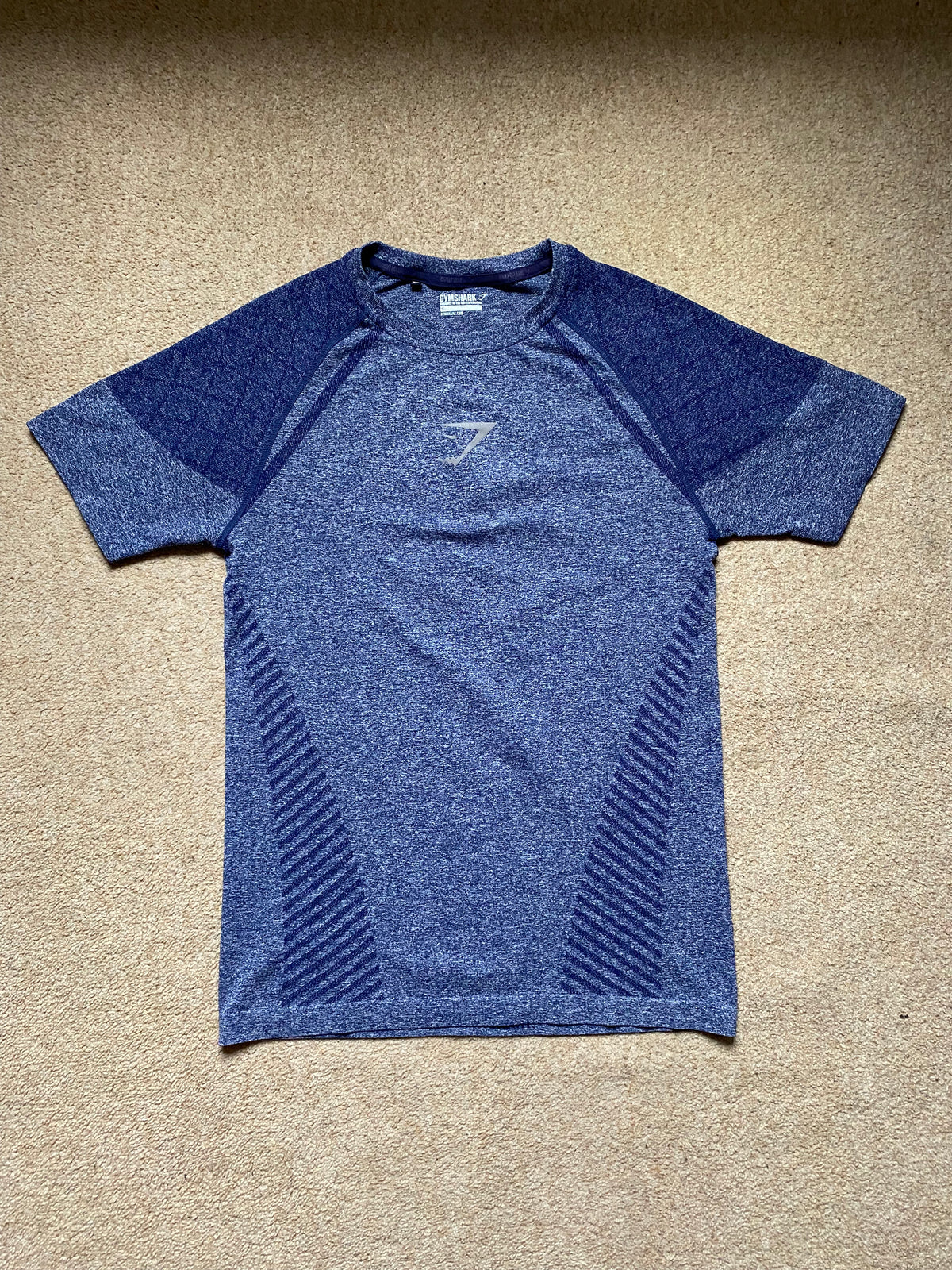 OG Gymshark Devant Seamless T-shirt